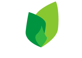 Carbon Credit Cart